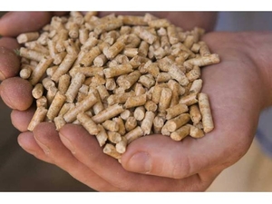 Предлагаем древесные гранулы Ульяновск грн.0