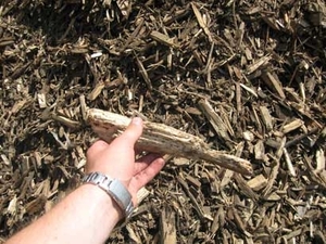 Предлагаем щепу по цене DAF грн.0