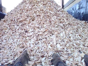 Предлагаем технологическую щепу сосна береза грн.0