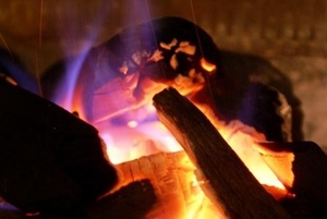 Уголь древесный производство продажа грн.0