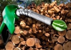 Преимущество отопления биомассой ##f_price|CURR_SIGN##