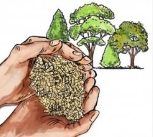 Характеристики топливных древесных пеллет ##f_price|CURR_SIGN##