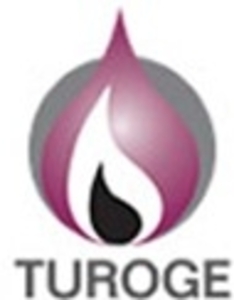 TUROGE 2010 ##f_price|CURR_SIGN##