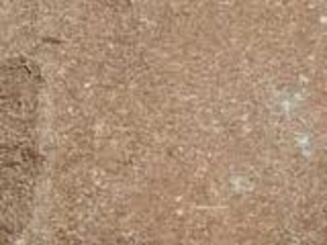 Сухая стружка, тырса грн.0