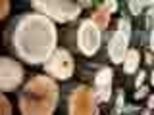 Куплю дрова (кругляк, колотые) грн.0