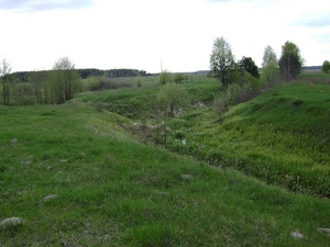 Участок под производство древесных гранул грн.0