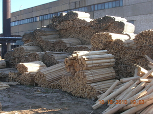 Продам березовый "карандаш" грн.0