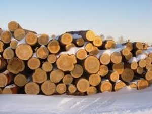 Продам круглый лес (дуб, ясень, черешню, клен) I, II и III сортов грн.0