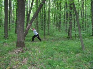 Цех переработки древесины грн.0