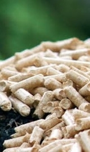 Заинтересованы в постояном сотрудничестве грн.0