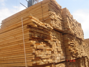 Saw timber sales грн.0