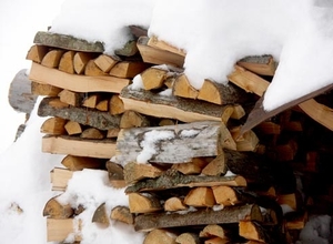 Продам дрова (ольха, береза, сосна и т.п.) грн.0