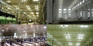 Пеллетная отрасль в Латвии ##f_price|CURR_SIGN##