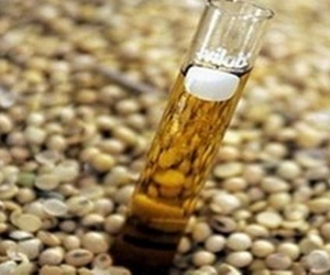 В Брализии компания "Braskem" запустила предприятие по производству биоэтилена ##f_price|CURR_SIGN##