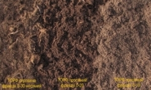 Cубстрат для высева и размножения, 80 л грн.0