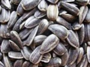 Продам паливни Брикеты из лузги соняшника грн.0