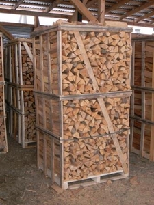 Продам дрова из бука грн.0