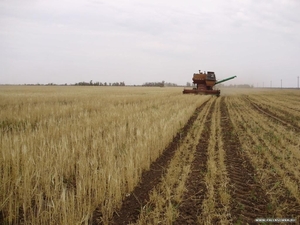 Приглашаем инвестора для совместного производства пеллет грн.0