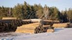 Продам в Челябинске пиловочник   грн.0