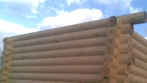 Предлагаю оцилиндрованный брус. Беседки, бани из бруса грн.0