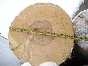 Продам Бук доску кругляк грн.0