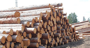 Наше предприятие предлагает лесоматериалы грн.0