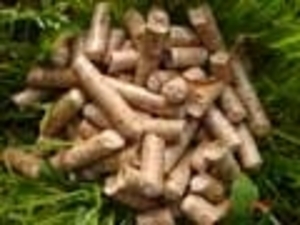 Производство и продажа древесных гранул и топливных брикетов на Украине грн.0