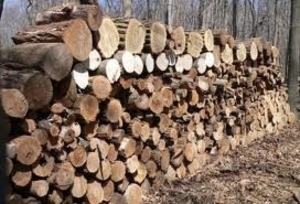 Дрова (дуб, граб и др.) грн.0