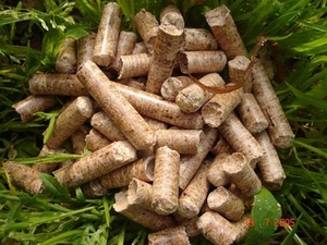 Продаем пеллеты из лузги подсолнуха грн.0