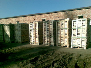 Продам сухі колоті дрова, бук граб дуб 8-12 фур на місяць грн.0