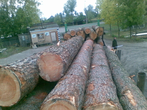 Продам доску хвойных пород обрезну грн.0