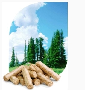 Крупное производство древесных пеллет запущено в Житомирской области ##f_price|CURR_SIGN##