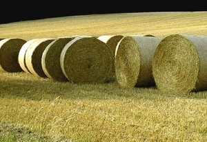 Украинские производители соломенных пеллет ждут иностранных инвестиций ##f_price|CURR_SIGN##