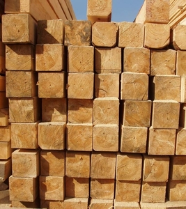 Дошка обрізна Львів грн.0