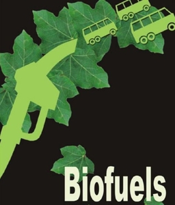 Новые льготы для производителей биотоплива в Украине ##f_price|CURR_SIGN##