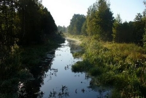 Леса Каменки пускают на дрова ##f_price|CURR_SIGN##