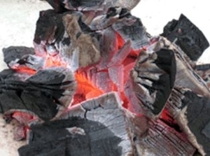 Производство древесного угля: особенности бизнеса ##f_price|CURR_SIGN##