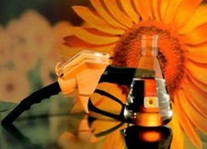 Новый продукт спиртовых заводов Украины: биотопливо ##f_price|CURR_SIGN##