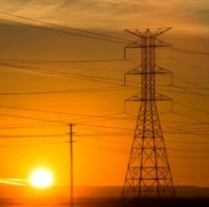 Голландский рынок биоэнергетики ##f_price|CURR_SIGN##