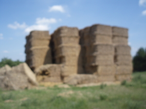 Продам солому в квадратных тюках грн.0