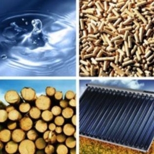 Динамика украинского рынка биоэнергетики ##f_price|CURR_SIGN##