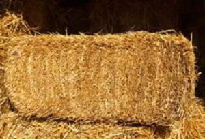 Cолома в тюках грн.0