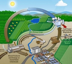 14.6 миллионов евро для биоэнергетического сектора Молдавии ##f_price|CURR_SIGN##