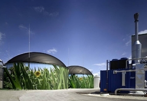 Биогаз заменяет традиционное топливо ##f_price|CURR_SIGN##