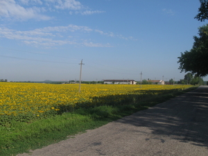 Предлагаю сотрудничество в производстве топливных брикетов грн.50000