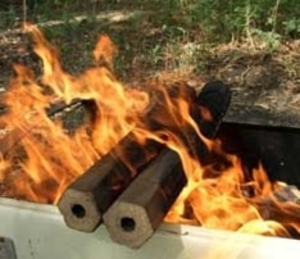 Покупаем брикеты из лузги FCA, DAF грн.0