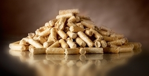 Производство пеллет в Украине: важный этап перехода на альтернативные источники энергии  грн.0