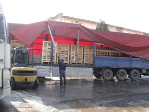 Колотые дрова, древесина - граб грн.0