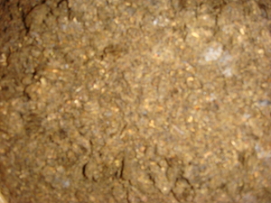 Продам жмых технический, низкопротеиновый до 300 тонн грн.0