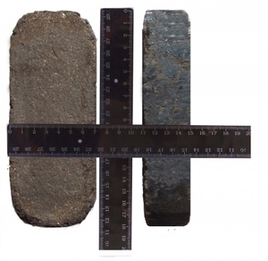 Продам на экспорт большие объемы торфобрикетов грн.0